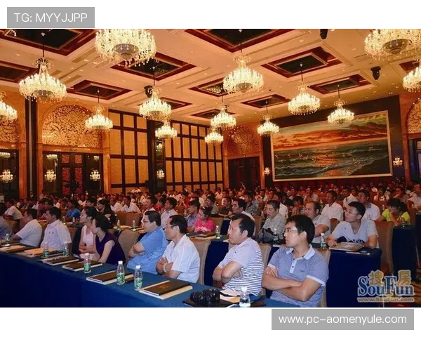 大阳城城集团品牌建设与市场营销新策略分享与实践经验