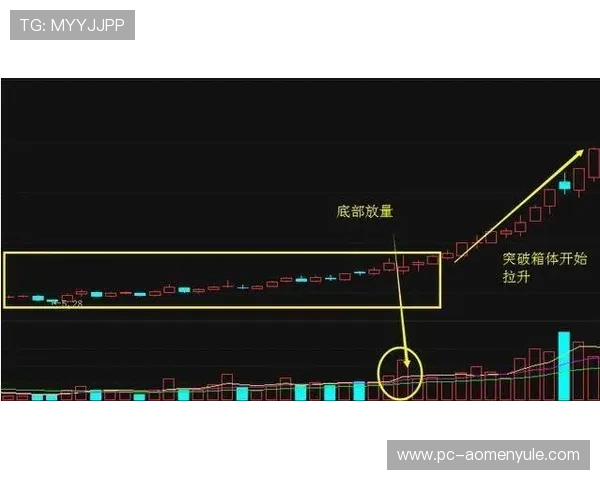 最全面的百家乐稳赢技巧总结让你轻松实现盈利目标