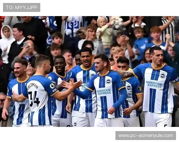 水晶宫足球俱乐部官网最新消息与赛程安排全面解析